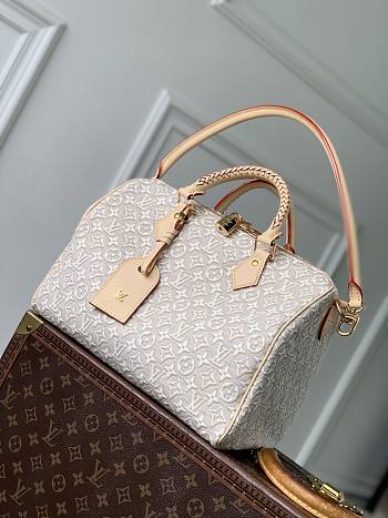 Louis Vuitton Speedy Soft 30 Monogram Peuplier 30x21x17cm