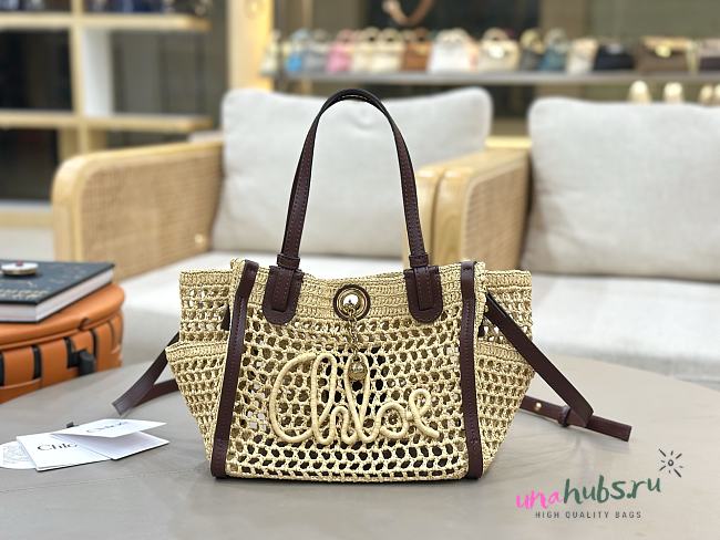 Chloé Iconic double carry bag in raffia 23x20x12cm - 1