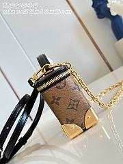 Louis Vuitton Vanity Pouch Trunk 20x10x5.5cm - 2