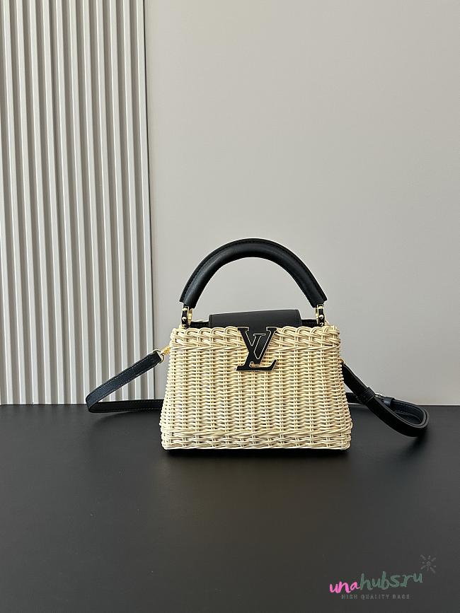 Louis Vuitton Mini Capucines Raffia Black 21cm - 1