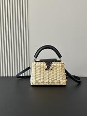 Louis Vuitton Mini Capucines Raffia Black 21cm - 1
