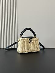 Louis Vuitton Mini Capucines Raffia Black 21cm - 5