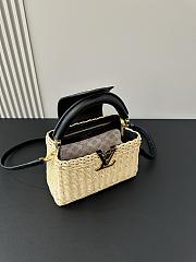 Louis Vuitton Mini Capucines Raffia Black 21cm - 4