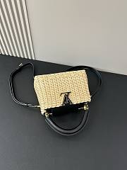 Louis Vuitton Mini Capucines Raffia Black 21cm - 3