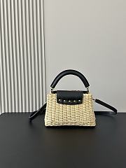 Louis Vuitton Mini Capucines Raffia Black 21cm - 2