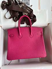 Hermes Birkin Fuchsia Pink Gold Togo - 2