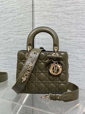 Dior Small Lady Bag Khaki 20x17x8cm