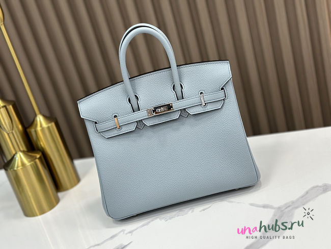 Hermes Birkin Togo light Blue Silver 25 - 1