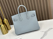 Hermes Birkin Togo light Blue Silver 25 - 4
