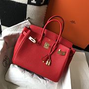 Hermes Birkin Bag Red Togo Gold  - 3