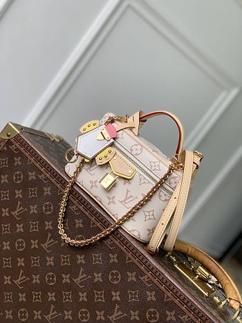 Louis Vuitton Vanity Chain Pouch Monogram Dune 19x11.5x6.5cm