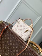 Louis Vuitton Vanity Chain Pouch Monogram Dune 19x11.5x6.5cm - 2