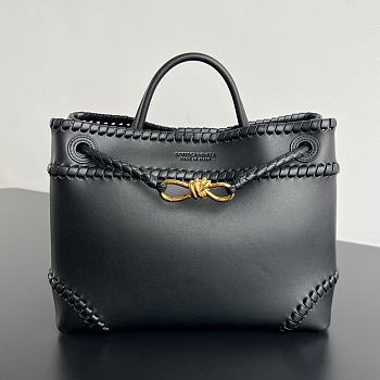 Bottega Veneta Andiamo Black calf leather 32x25x11cm