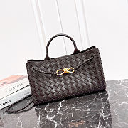 Bottega Veneta East-West Andiamo Dark Brown Bag - 29x18x10cm - 1