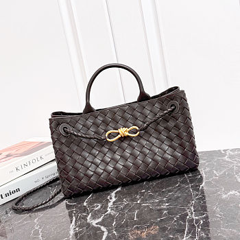 Bottega Veneta East-West Andiamo Dark Brown Bag - 29x18x10cm