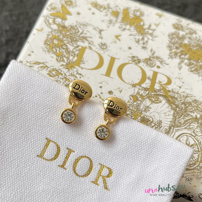 Dior Core Earrings - 1