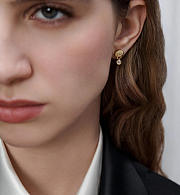 Dior Core Earrings - 4