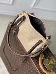 Louis Vuitton Express PM Raffia-effect 26x17x13.5cm - 5