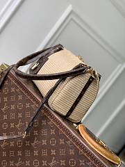 Louis Vuitton Express PM Raffia-effect 26x17x13.5cm - 4