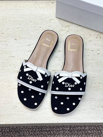 Dior Mule Dway Black 