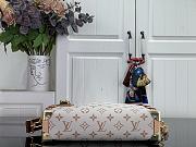 Louis Vuitton Side Trunk MM East-West Monogram Dune 28x15x7cm - 5