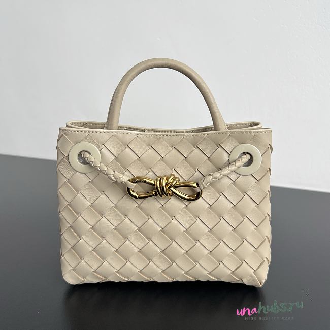 Bottega Veneta Mini Andiamo cream 20x9x15cm - 1