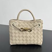 Bottega Veneta Mini Andiamo cream 20x9x15cm - 1