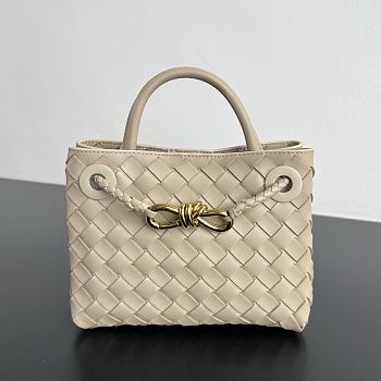 Bottega Veneta Mini Andiamo cream 20x9x15cm