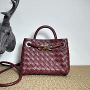 Bottega Veneta Mini Andiamo Burgundy 20x9x15cm - 1