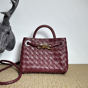 Bottega Veneta Mini Andiamo Burgundy 20x9x15cm