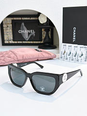 Chanel sunglasses 08 - 1