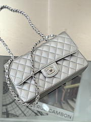 Chanel Flap Bag Silver Caviar 25cm - 5