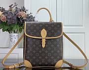 Louis Vuitton Diane Backpack MM 31.5x26x11cm - 1