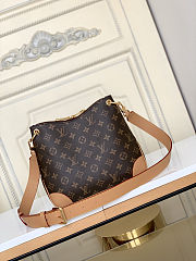 Louis Vuitton Odeon Bag monogram Tan 28x25x9cm - 3