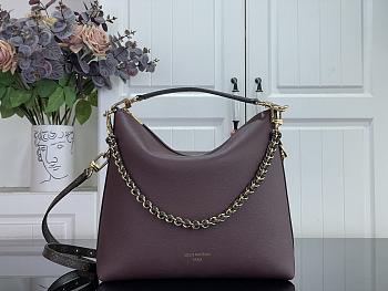 Louis Vuitton Multipass Monogram Rouge 30x26x10cm