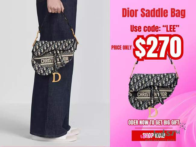 Dior Saddle Bag - 1
