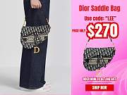 Dior Saddle Bag - 1
