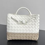 Bottega Veneta Small Andiamo white beige 25x20x10cm - 1
