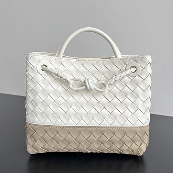 Bottega Veneta Small Andiamo white beige 25x20x10cm