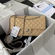 Chanel Flap Bag Beige Gold/silver Caviar 25cm - 3