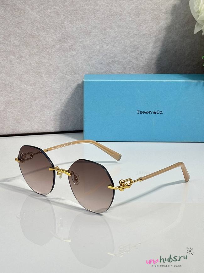 Tiffany & Co Sunglasses - 1