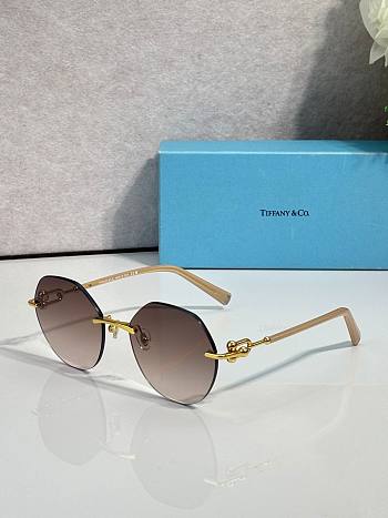 Tiffany & Co Sunglasses