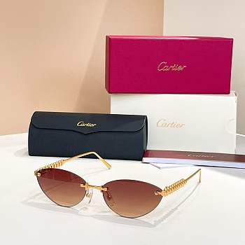 Cartier Sunglasses 05