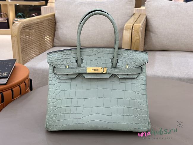 Hermes Birkin 25 Matte Alligator Gold Hardware Light Green - 1