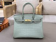 Hermes Birkin 25 Matte Alligator Gold Hardware Light Green - 1