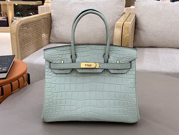 Hermes Birkin 25 Matte Alligator Gold Hardware Light Green