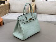 Hermes Birkin 25 Matte Alligator Gold Hardware Light Green - 2