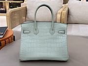 Hermes Birkin 25 Matte Alligator Gold Hardware Light Green - 3