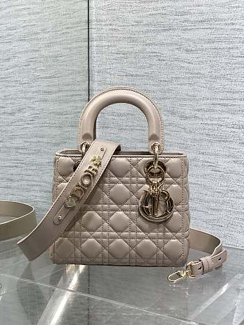 Dior Small Lady My ABCDior Bag Desert Taupe 20x18x8cm