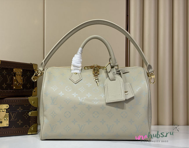 Louis Vuitton Speedy Soft 30 Private Sage - 30x21x17cm - 1